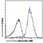 Goat Anti-CD274 / PD-L1 Antibody