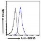 Goat Anti-GDF15 Antibody