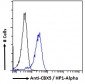 Goat Anti-CBX5 / HP1-Alpha Antibody