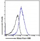 Goat Anti-FABP2 Antibody