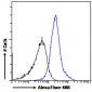 Goat Anti-WISP1 Antibody