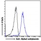 Goat Anti-Alpha2-antiplasmin Antibody