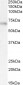 Goat Anti-Alpha2-antiplasmin Antibody