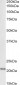 FTL, Biotinylated