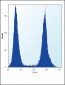 RUNX1 Antibody (S276)