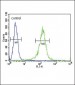 RDH10 Antibody (Center)