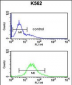 RPS15A Antibody (N-term)