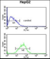 WDR82 Antibody (N-term)