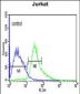 ATF1 Antibody (C-term)