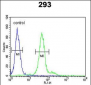 DDX23 Antibody (Center)