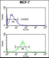 PRPF19 Antibody (N-term)