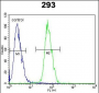 PLA2G1B Antibody (C-term)