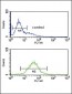 HIF1A Antibody