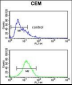 MLF1 Antibody (C-term)