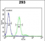 KIT Antibody (Y703)