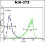 HIF1Alpha Antibody (Center)