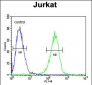 HADHB Antibody (C-term)