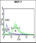 LXN Antibody