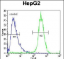 TYROBP Antibody (C-term)