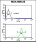 GSTK1 Antibody (Center)