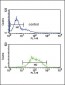 LCAT Antibody (Center)