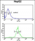 CDH20 Antibody (N-term)