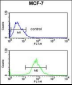 AIM2 Antibody (N-term)