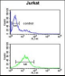 PLB-T17 Antibody