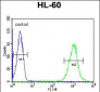 ICB1 Antibody (C-term)