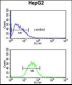 PR38A Antibody  (C-term)
