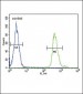 SMAD3-S208 Antibody