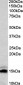 Goat Anti-Neurogranin precursor Antibody