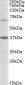 Goat Anti-CPT2 (aa406-418) Antibody
