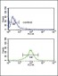 GOT1 Antibody (C-term)