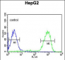 OPN1MW Antibody (N-term)