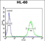 WDTC1 Antibody (C-term)