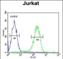 PAN3 Antibody  (C-term)