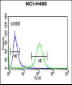 RAB27B  Antibody (C-term)