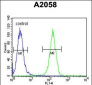 XRCC6 Antibody (C-term)