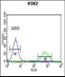 SMARCC1 Antibody (N-term)