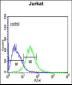 ADFP Antibody (Center)