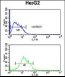 PARP16 Antibody (C-term)