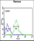 GBAS Antibody (Center)