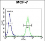 APG8b (MAP1LC3B)-T93/Y99  Antibody (Center)