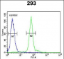 ATG14 Antibody (Center)