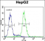 PSMD7 Antibody (C-term)