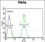 HSPA5 Antibody (C-term)