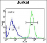 FFAR3 Antibody (C-term)