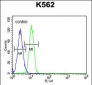 G6PC Antibody (Center)