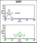 IL5RA Antibody (N-term)